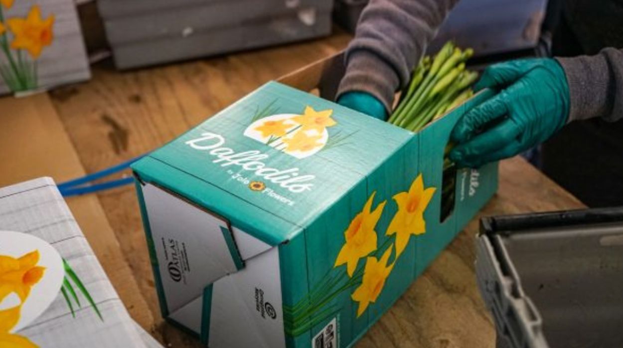 Flower and plant packaging