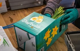 Flower and plant packaging