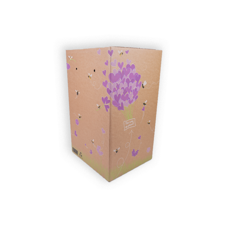 horticulture packaging box