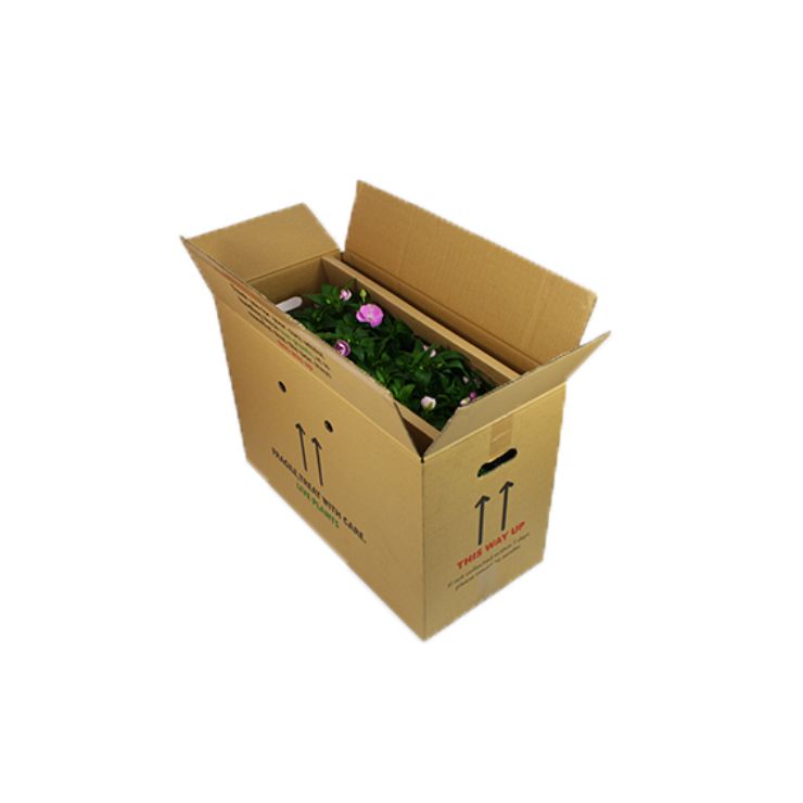 Plant packaging sample box