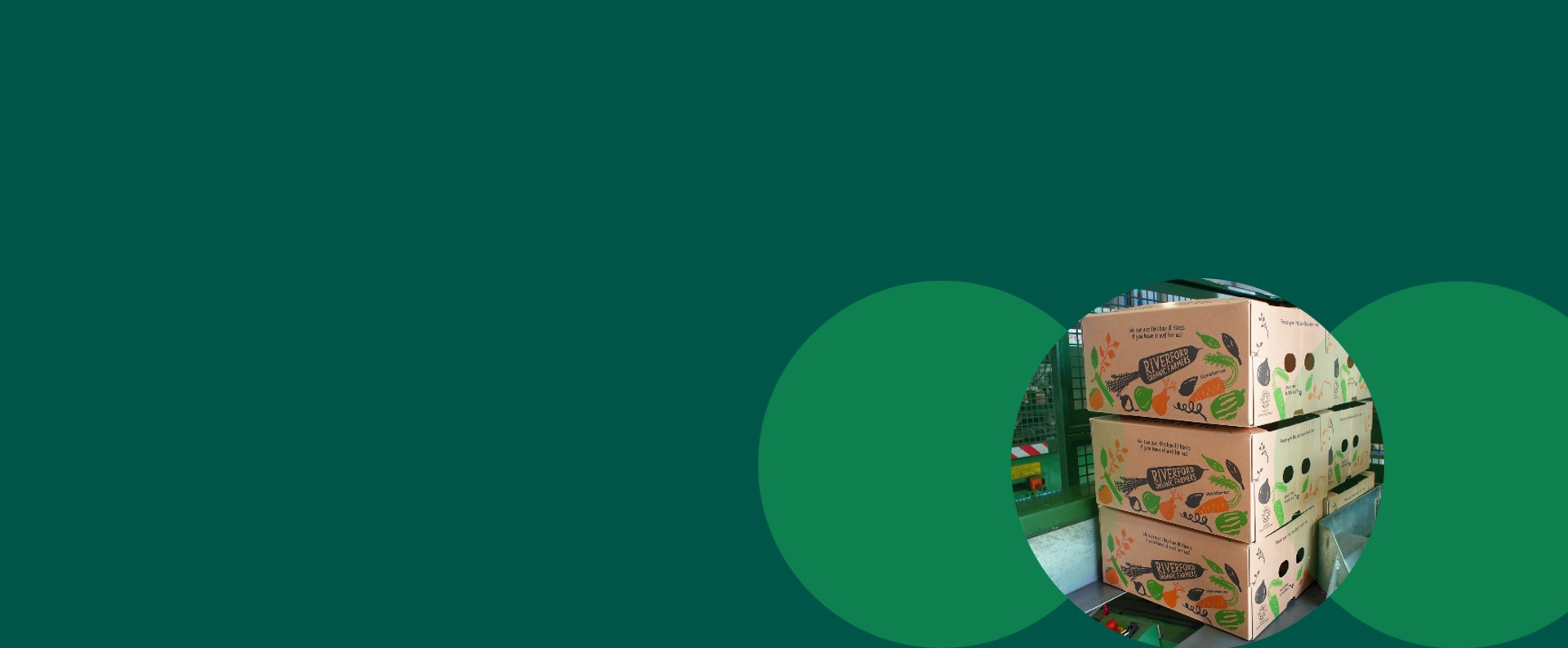 Vegetable packaging boxes