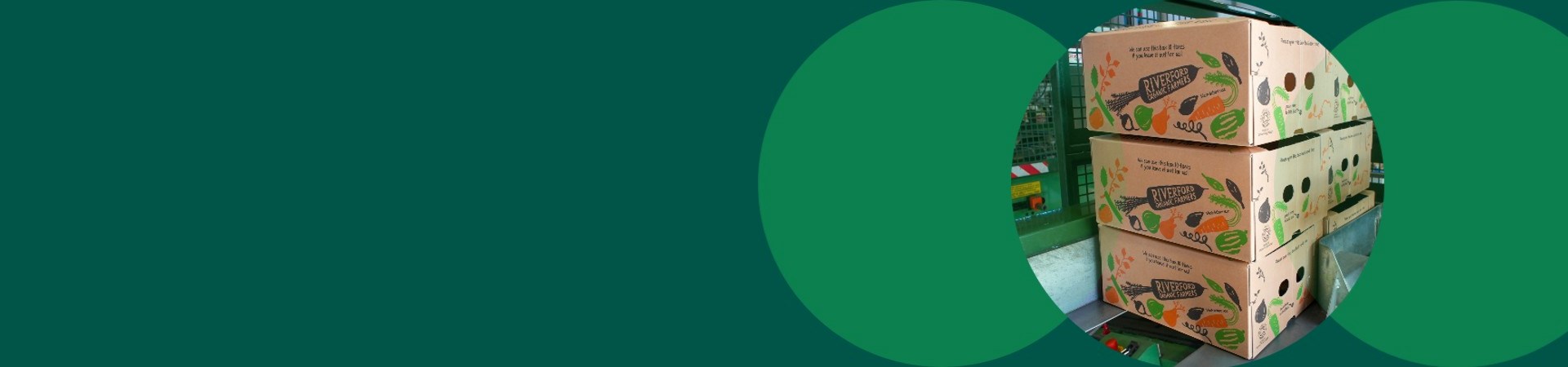 Vegetable packaging boxes