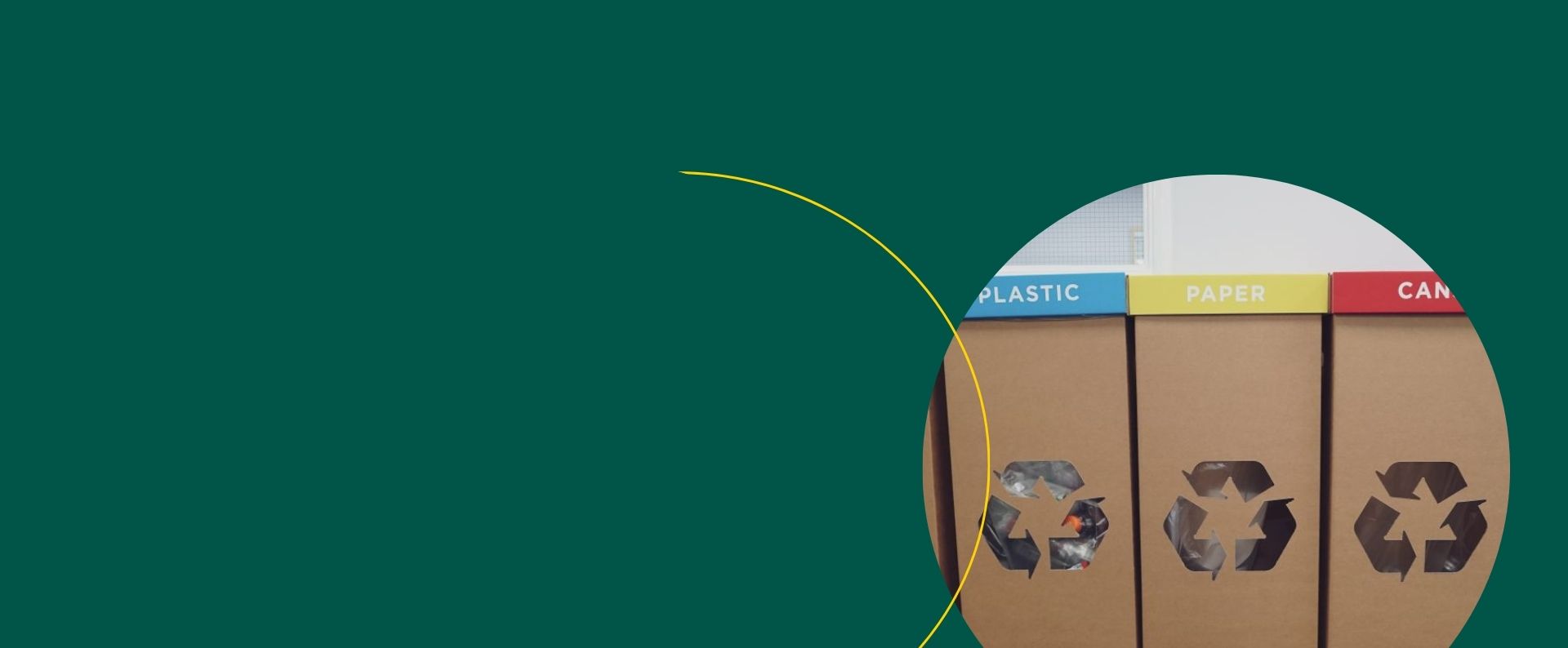 Sustainable cardboard packaging near Devon