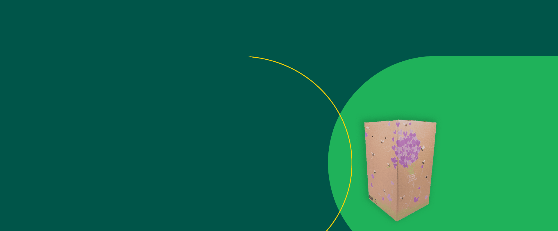 Flower and plant packaging