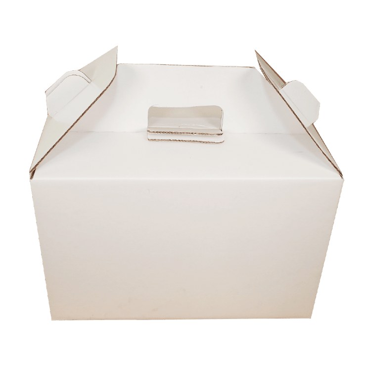 Carry pack cardboard box