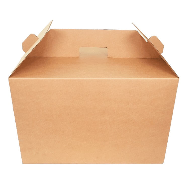 Carry pack cardboard brown