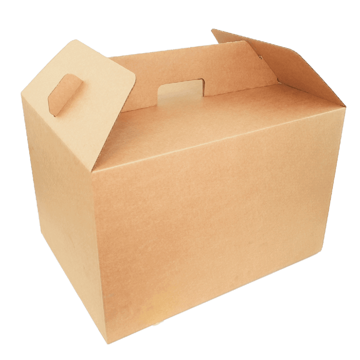 Carry pack sleeve packaging brown