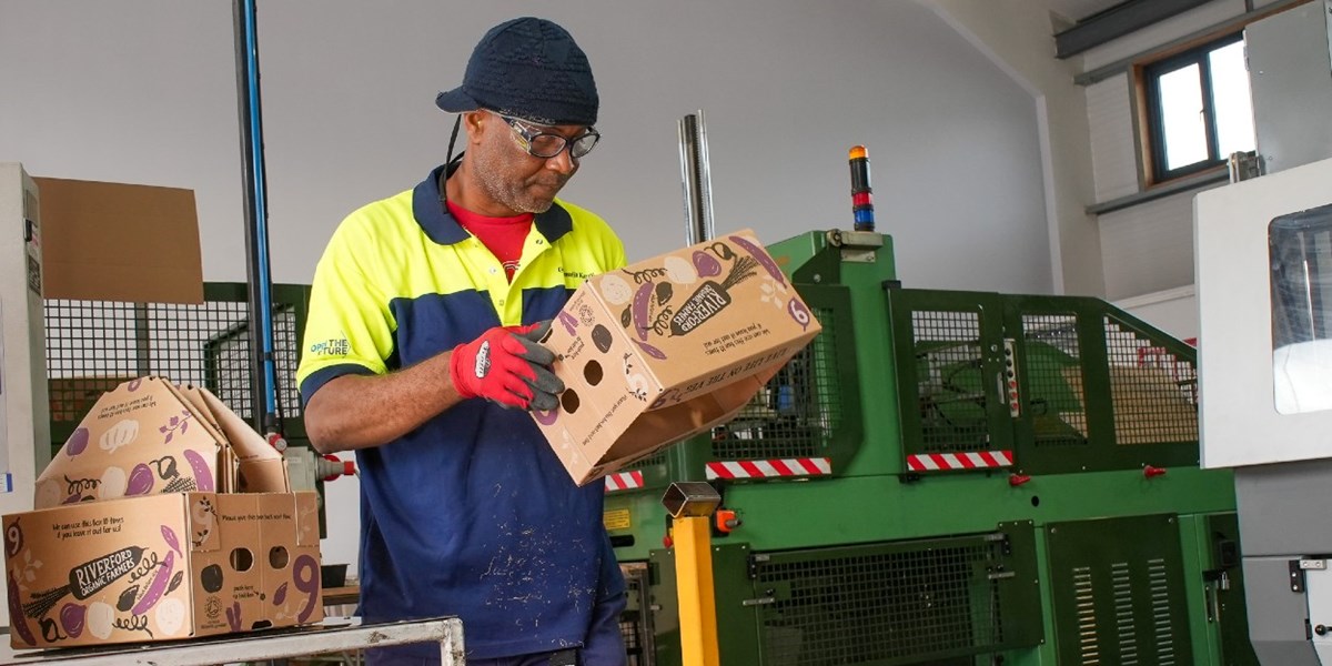 Cardboard vegetable packaging boxes