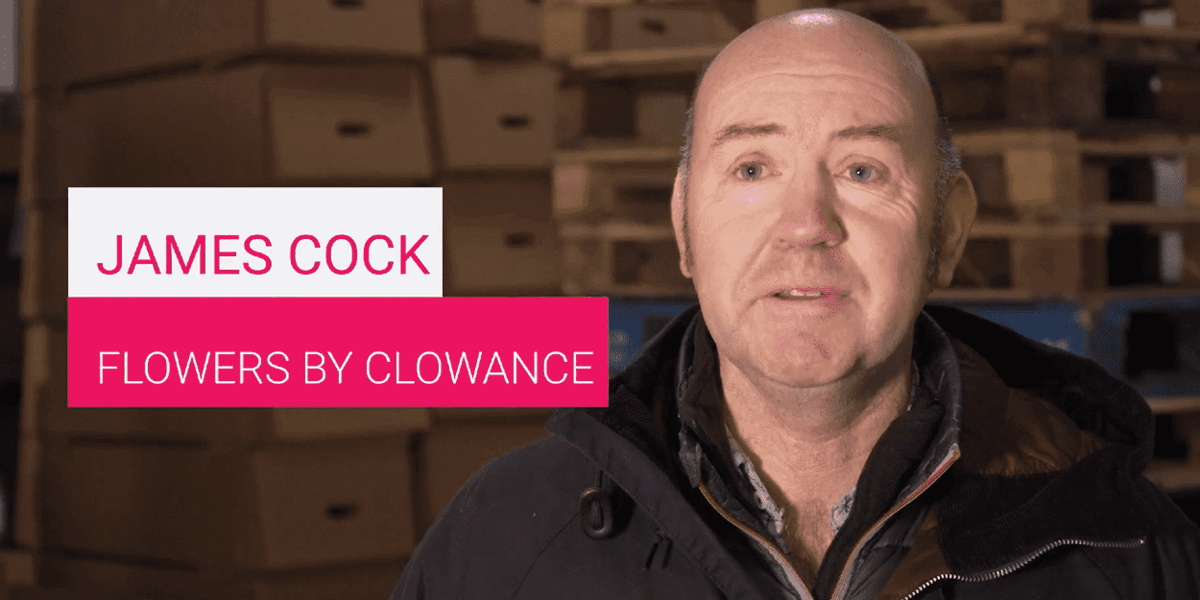 Atlas packaging review